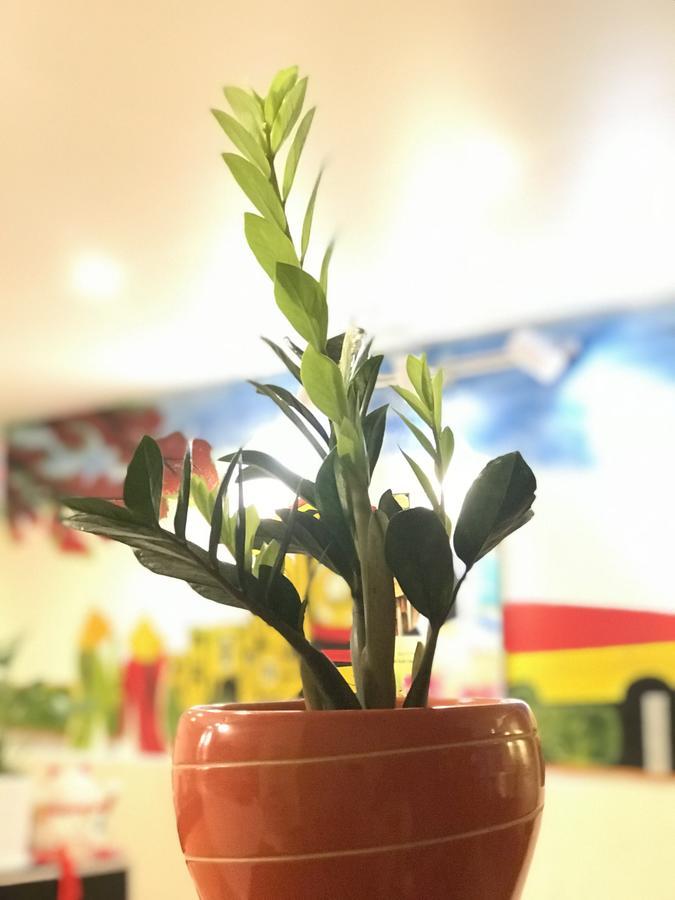 The Lily Hostel & Coffee Πόλη Χο Τσι Μινχ Εξωτερικό φωτογραφία